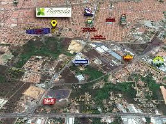 Apartamento, 2 quartos - Foto 10